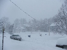 2011 Blizzard