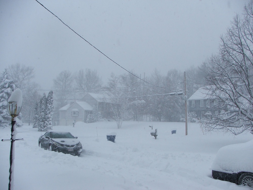 2011 Blizzard