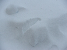 Snow Mummy Rising