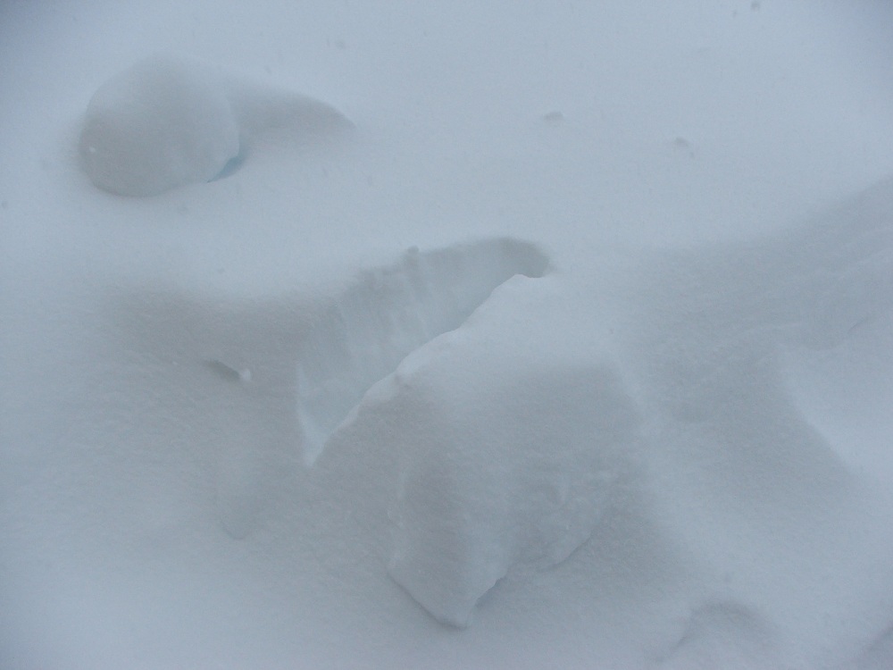 Snow Mummy Rising