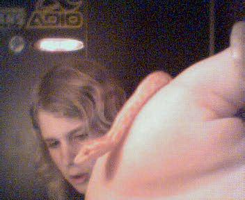 mysti, my first snake