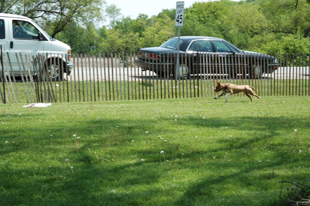 Katie runs the lure course (2 of 3)