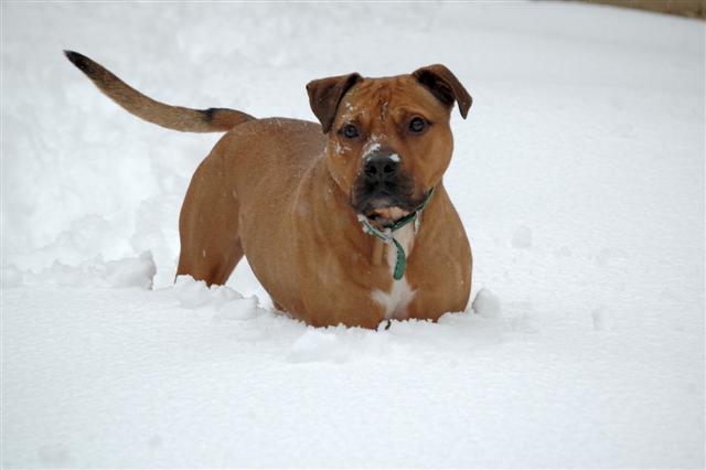 Snow Day!