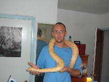 My Big Guy