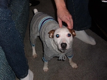 Little Hercules