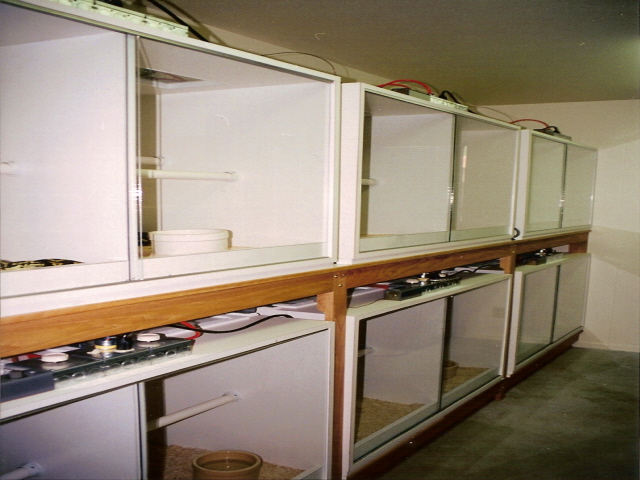 North Wall Cages