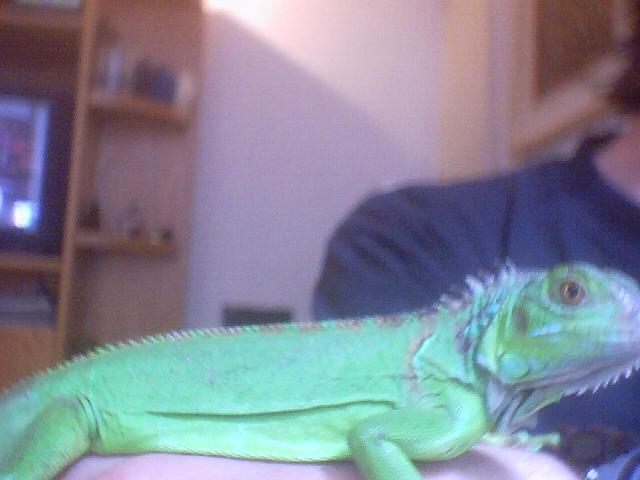 spike2