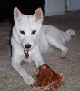 Yuki at 5 months