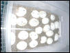 GTP eggs
