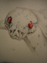 chondro
