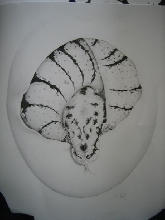 hatching