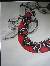 Boa