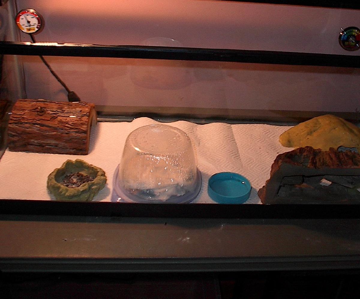 leo cage