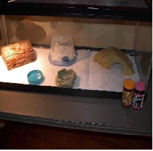 my new leo gecko cage setup