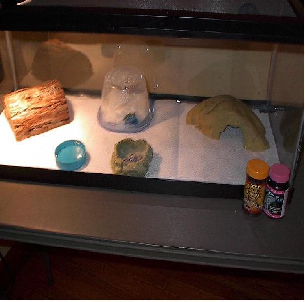 my new leo gecko cage setup