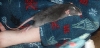 Lucy's nap