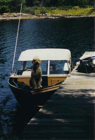 I wanna go fishing!