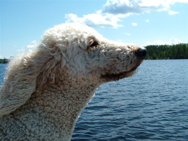 boat ride