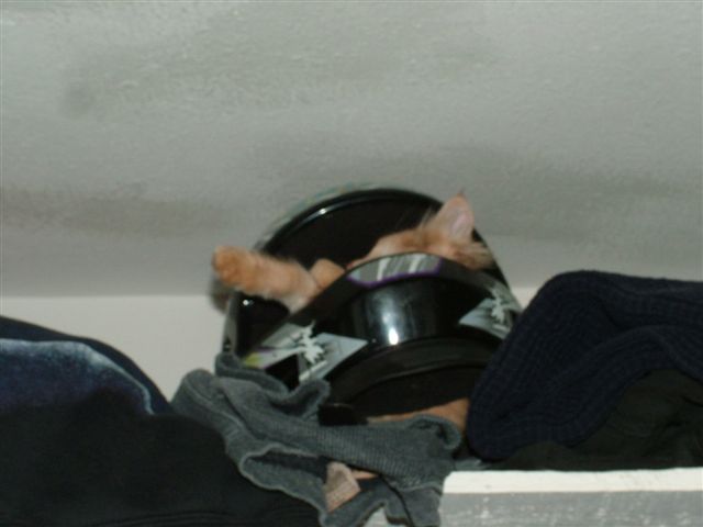 Nicholas in the helmet