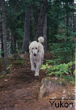 Yukon Jack - may he rest in peace