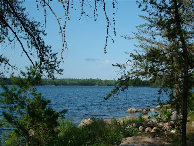 view from the deck