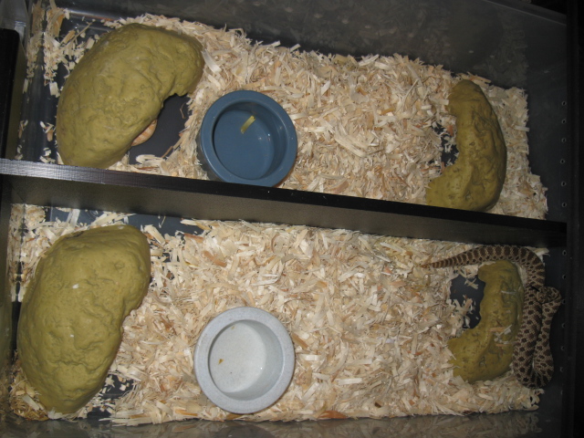 hog tub