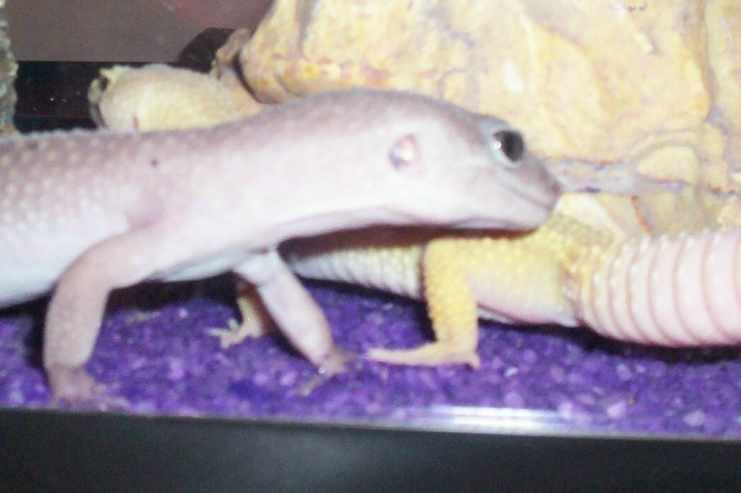 Mack&Evander
