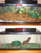 Before And After