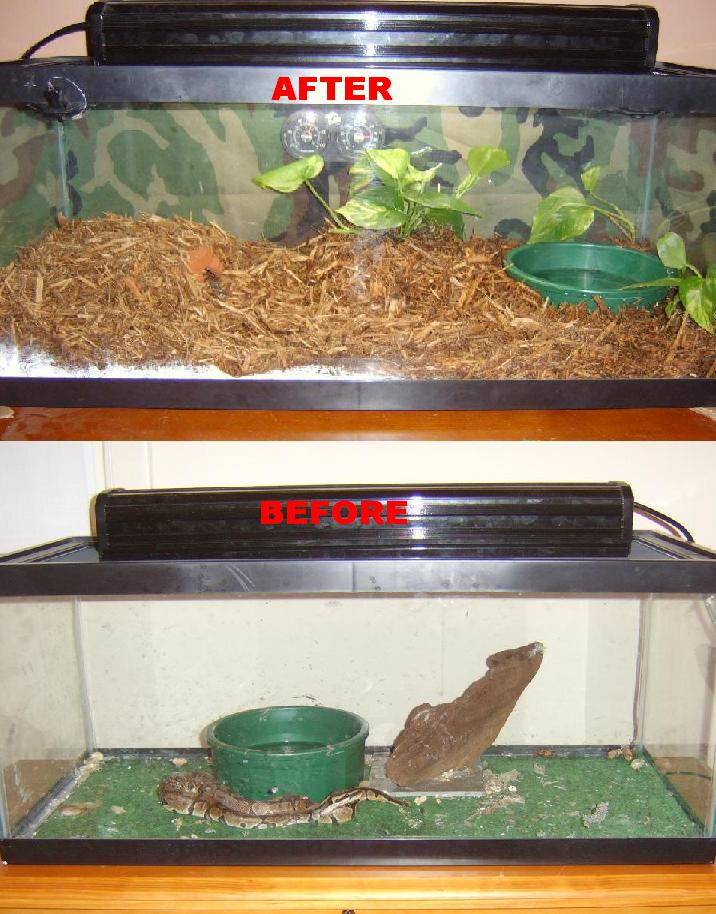 Before And After