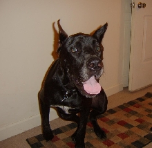 Tyson