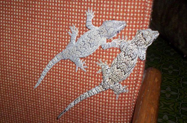 male and female gargoyle