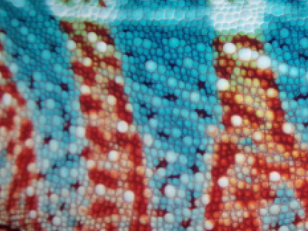 Close up