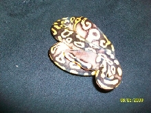 pastel phantom update