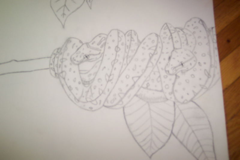 green tree python pencial