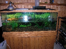 RES tank