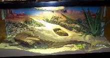 Lawsons Dragon Tank