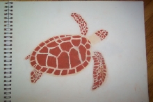 turtle pastelle