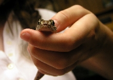 Ocolot Gecko