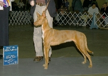 Maggie BOB_BOW_FtWorth04-06
