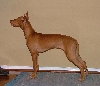 Phaie_Stack