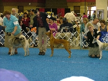 Maggie in the Group_1