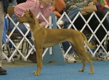 Maggie in the Group_2