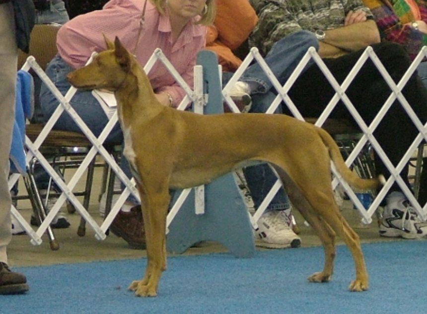 Maggie in the Group_2