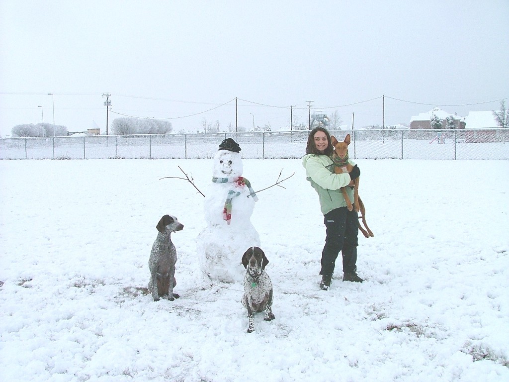 Snow Dogs