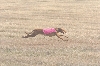 maggie1stcrs
