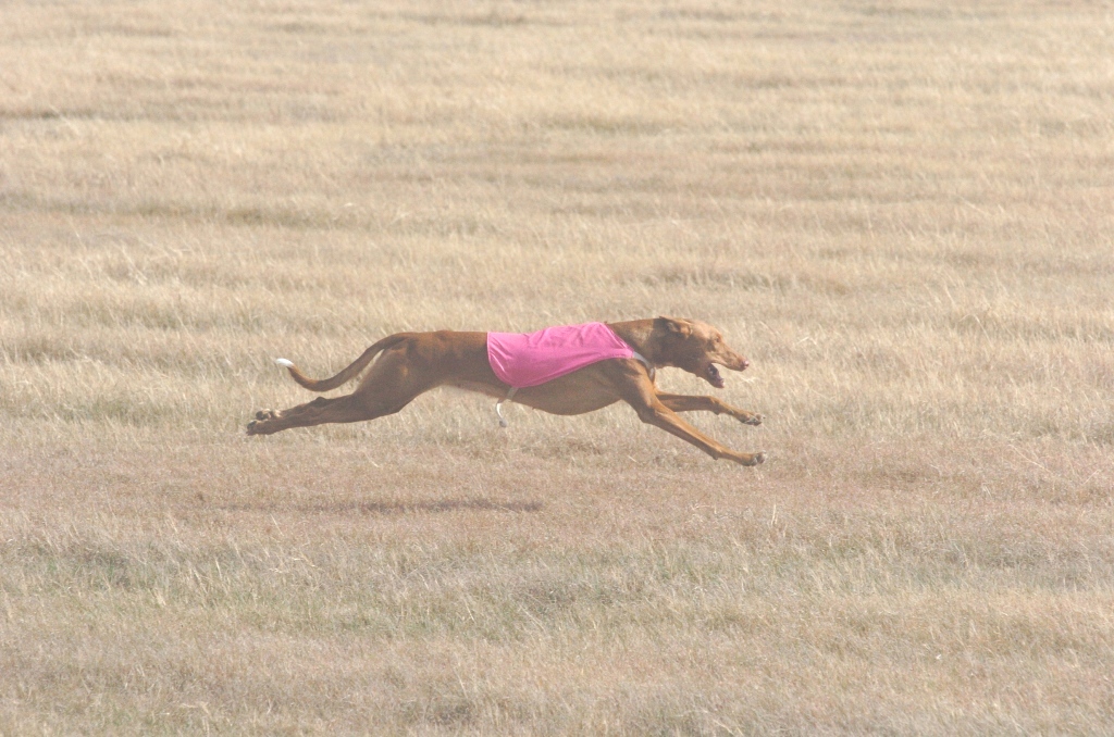 maggie1stcrs