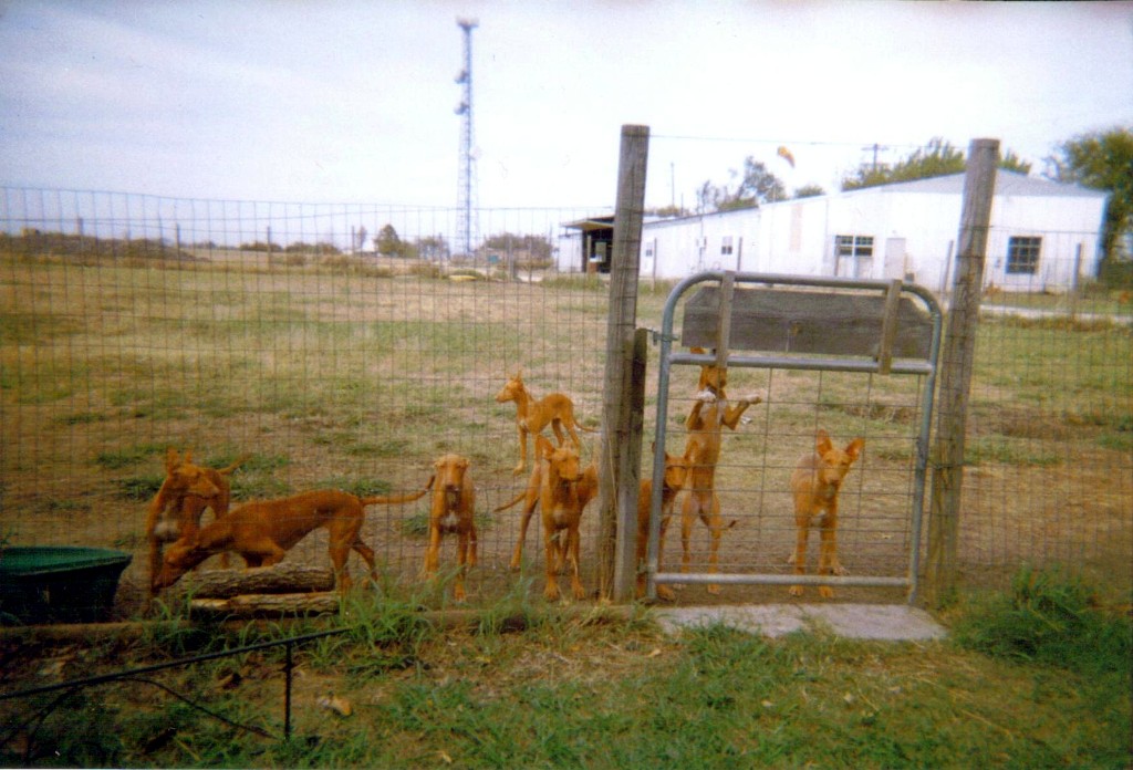 Maggie_Litter3