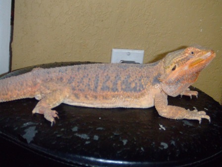My Female!