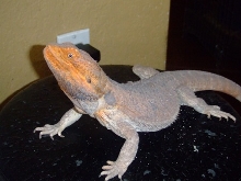 My Male!