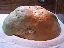 Nick S. - Albino Western Diamondback